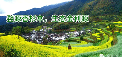 金利源板材/金品質(zhì) 源生態(tài).從源頭精挑細選，為品質(zhì)保駕護航——中國板材十大品牌品質(zhì)篇